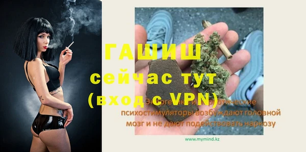 гидра Медвежьегорск