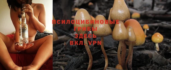 гидра Медвежьегорск
