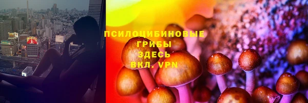 сатива Медногорск