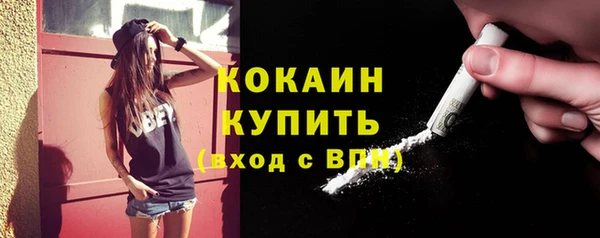 твердый Мегион