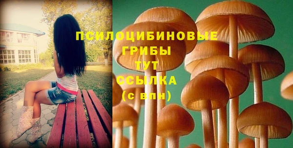 гидра Медвежьегорск