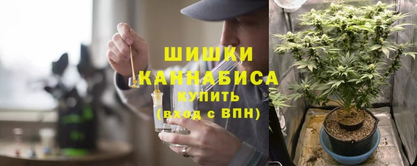 гидра Медвежьегорск
