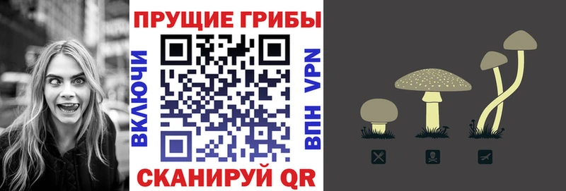 Псилоцибиновые грибы мухоморы где купить наркоту Подольск