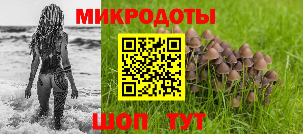 Галлюциногенные грибы Psilocybe  Вход с VPN  Подольск 