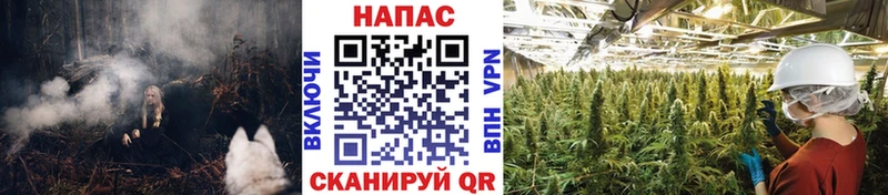 закладка  Подольск  Шишки марихуана план 
